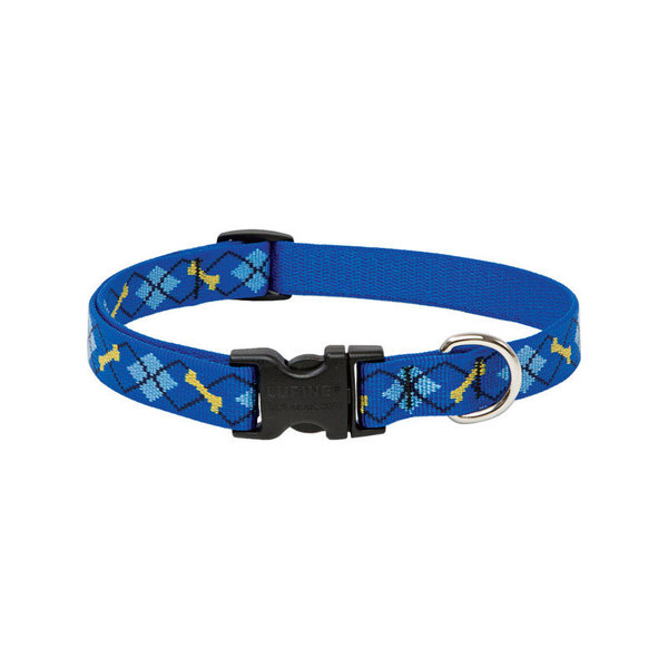 Lupine Dog Collar 13-22Adj Dpdg 41802
